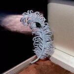 High-end Jewelry Feather Shape Brooch